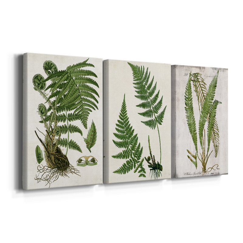 Fern I - toile tendue sur mesure - 3 pièces, H 12 po x l 24 po
