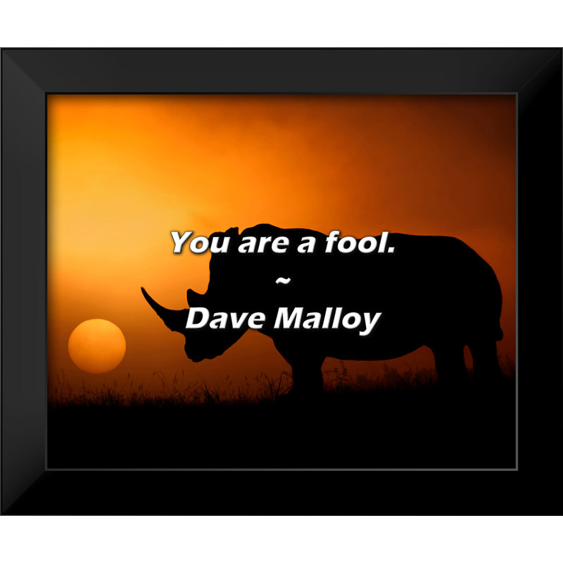 Dave Malloy Quote: You are a fool.