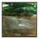 Kathy Morton Stanion - Print on Canvas