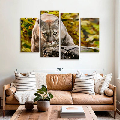Cougar de chasse Brampt