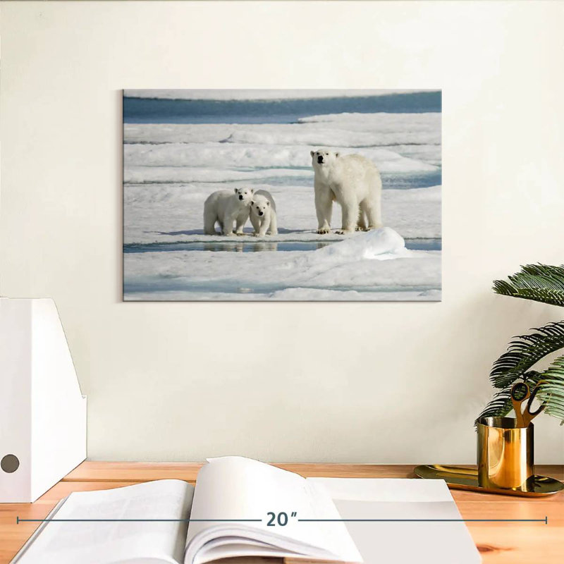 Ours polaires Brampt Longyearbyen, H 8 po x l 12 po