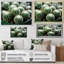 «Green Beige Cactus Desert Jewels Mammillaria I», reproduction sur toile-1225886516-1225886507