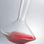 Pure 25.3 oz. Wine Decanter