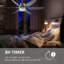 Ceiling Fan