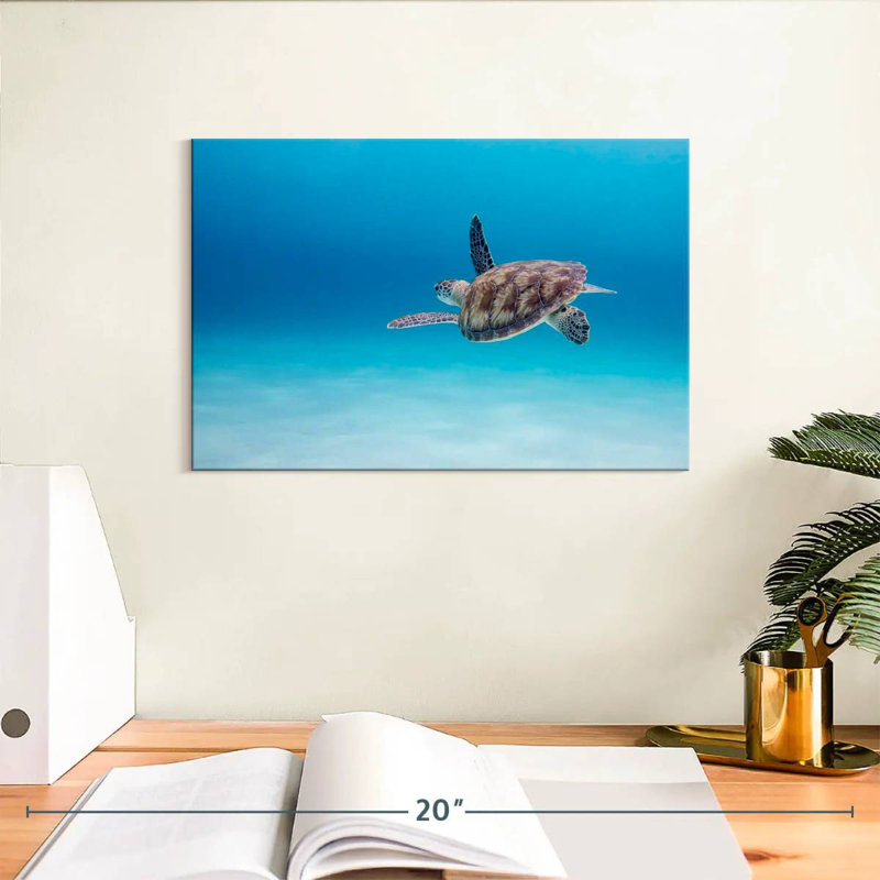Crowle Adventurous Sea Turtle, 8" H x 12" W