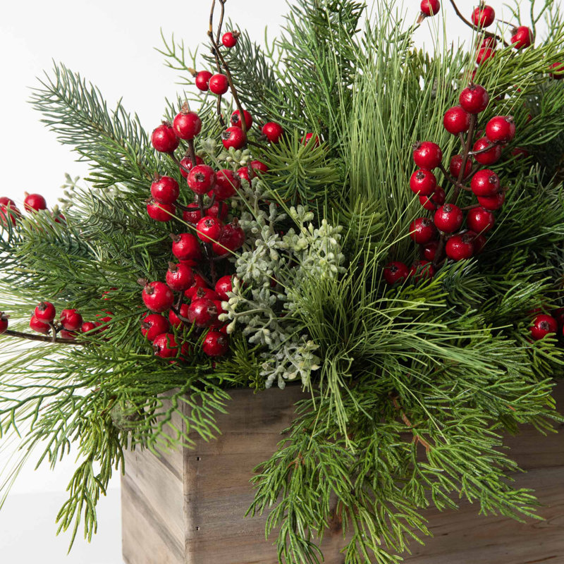 Arrangements floraux en pot