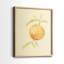 «Dappled Oranges III», reproduction encadrée de qualité supérieure - prête à être accrochée - aucun clou requis - aucun clou requis-719635582-719635579