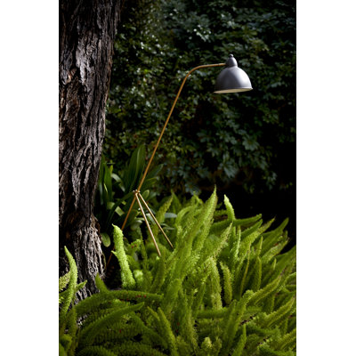 Werner 54 " LED Task Floor Lamp