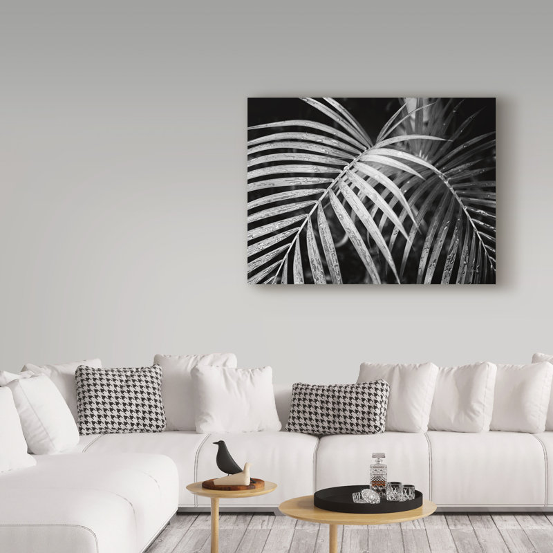 « palm frondes », reproduction de photo sur toile tendue, H 24 po x l 24 po x p 2 po