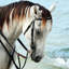 Horse In Sea Breeze Print by Chelsea Art Studio-26705573-26705571