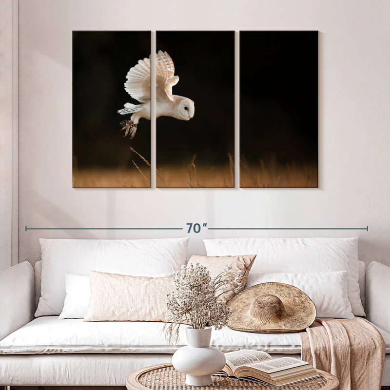 Brampt Barn Owl Beauty, 32" H x 50" W