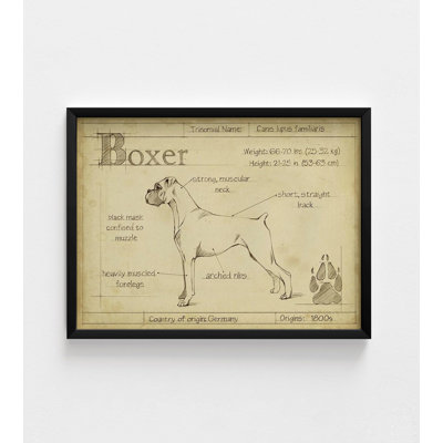 Antique Boxer (ASH) By Ethan Harper, Boxer Dad Birthday Gift Idea, Large Dog Poster Print, Boxer Surprise Gift Wall Art
