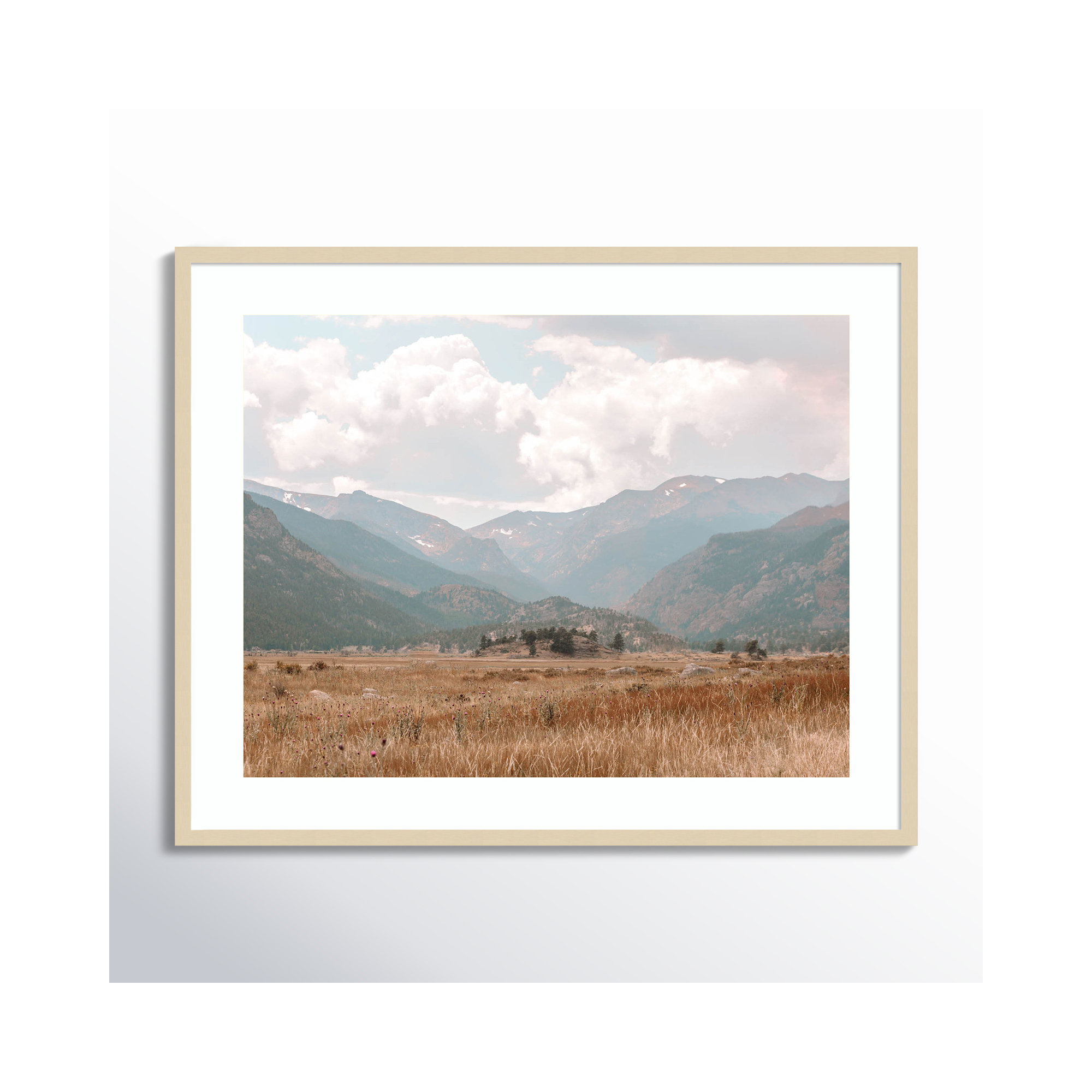 Wanderings by Alicia Abla, Brown, 33" H x 41" W x 1" D