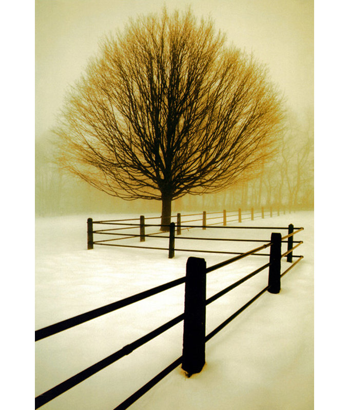 Solitude MCG-PF1062, 24'' H x 16'' W