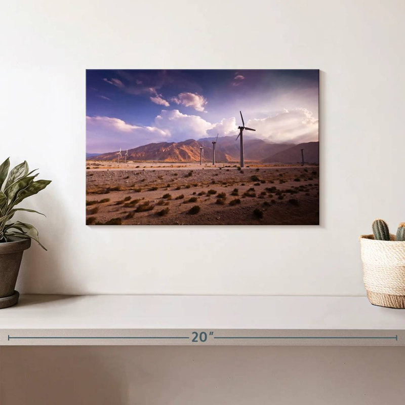 Lilie California Windmills, H 8 po x l 12 po