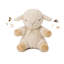Sleep Sheep