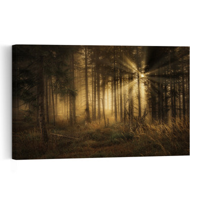 Forêt brumeuse et ensoleillée - Affiche murale onirique et mystique d'automne