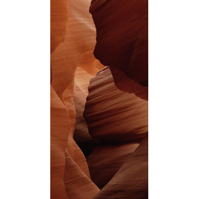 Art of Nature 007 - No Frame Rectangle Print on Metal