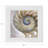 Nautilus Pearl Cotton Sateen Dinner Napkins