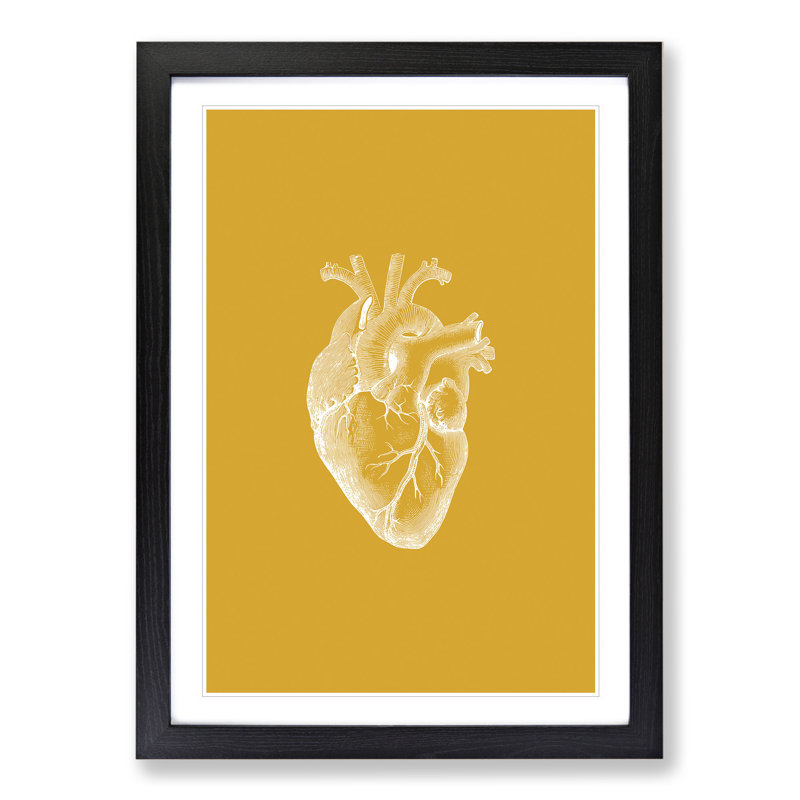 Orange Anatomical Heart - Picture Frame Graphic Art, Black Framed, 48cm H x 36cm W x 2cm D