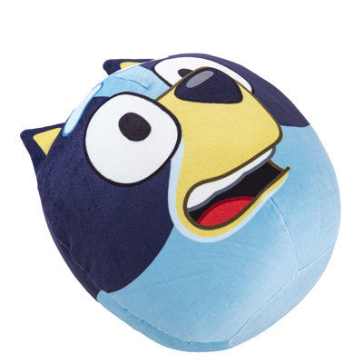  Pillow Cover