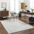 Horst Recycled P.E.T Oriental Indoor / Outdoor Rug-1663605417
