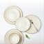 Piece Stoneware Dinnerware Set - Service for 4-962509076