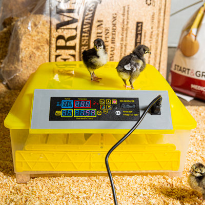 Incubateur à œufs de poule Demirose 40+