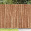 Border Fencing