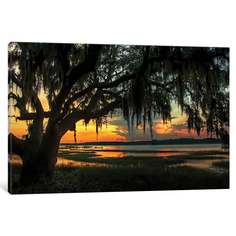 «Savannah Evening» par Natalie Mikaels, reproduction sur toile tendue, H 3 po x l 16 po x P 24 po, Papier d'art encadré noir