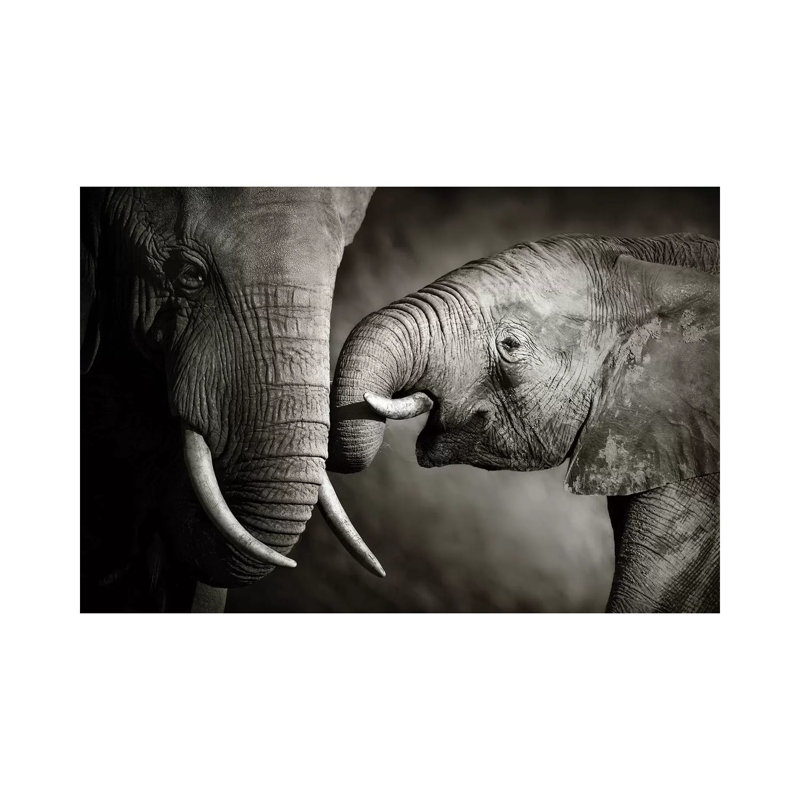 Elephant Affection by Johan Swanepoel - Wrapped Canvas Print, 101.6 cm H x 66.04 cm W x 3.175 cm D