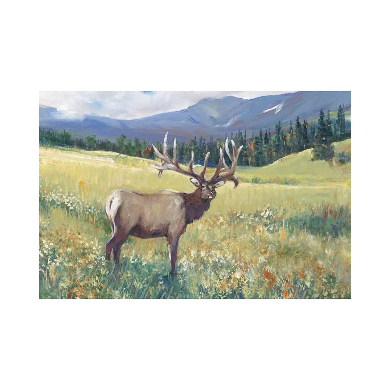 Rocky Mountain Elk I by Tim OToole - Wrapped Canvas Painting, 66.04cm H x 101.6cm W 1.9cm D