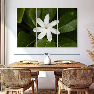 Harnek Fresh Jasmine Flower