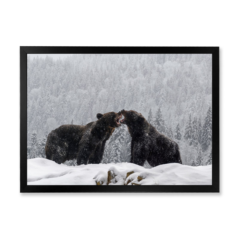 «Two Angry Brown Bear Fight in Winter Forest», reproduction sur toile, H 30 po x l 40 po, Cadre noir