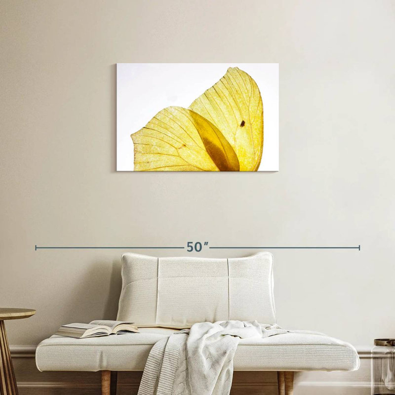 Brampt Golden Yellow Butterfly Wings, 20'' H x 30'' W