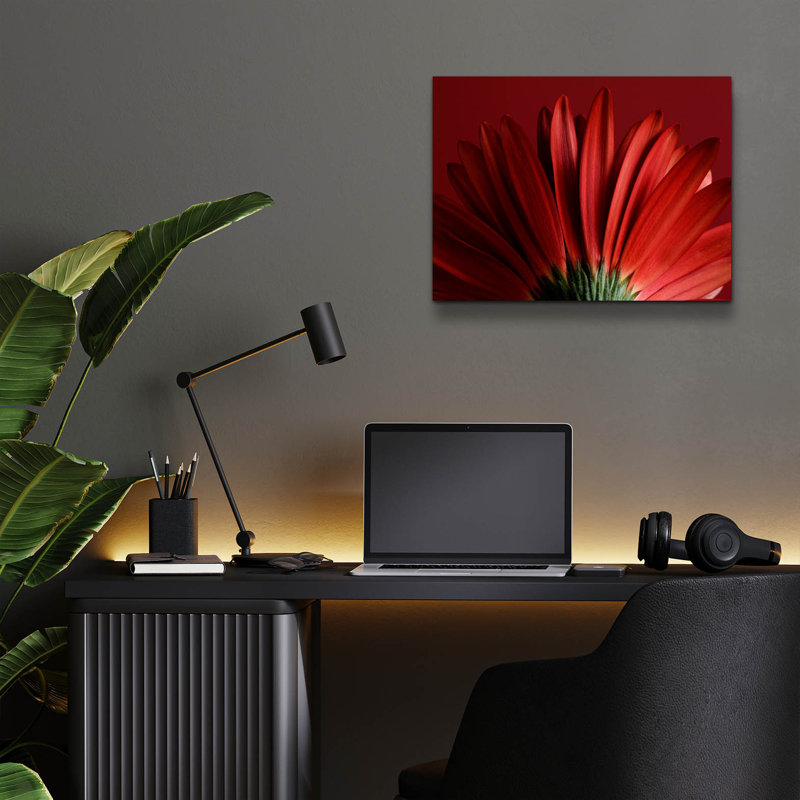"Red Gerbera On Red 09" par Tom Quartermaine, H 12 po x l 16 po x P 0,13 po