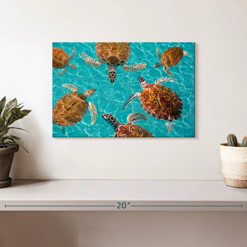 Brampt Turtles, 8" H x 12" W