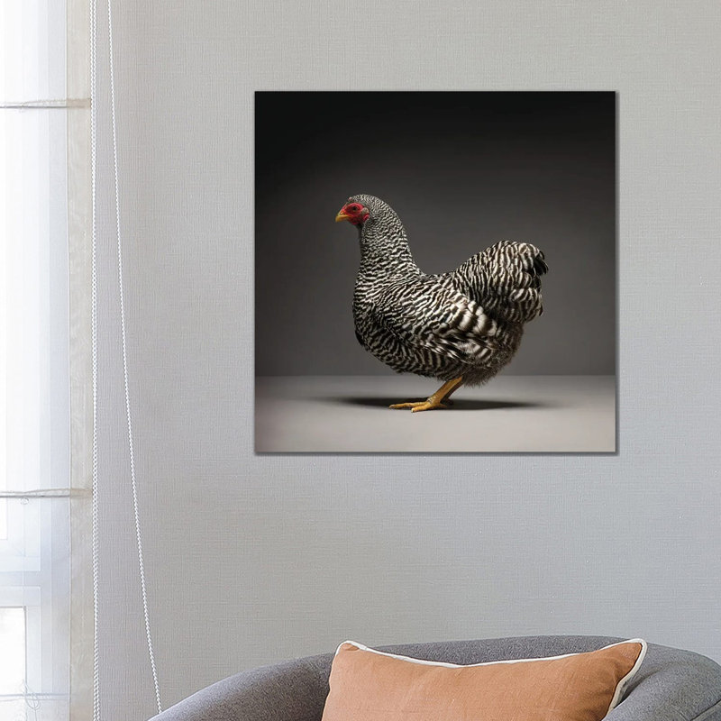 Wyandotte - Wrapped Canvas Print, 66.04 cm H x 66.04 cm W x 1.91 cm D