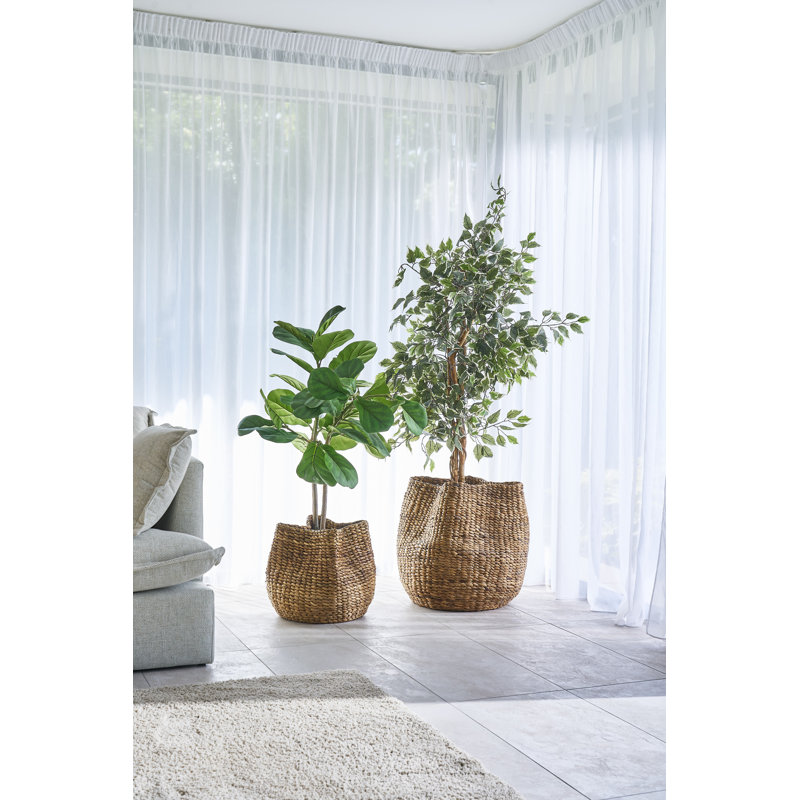 Daily Sales Other Decorative Basket