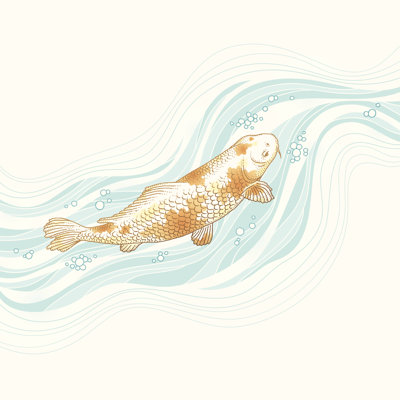 Koi Fish Swimming - Wrapped Canvas Print