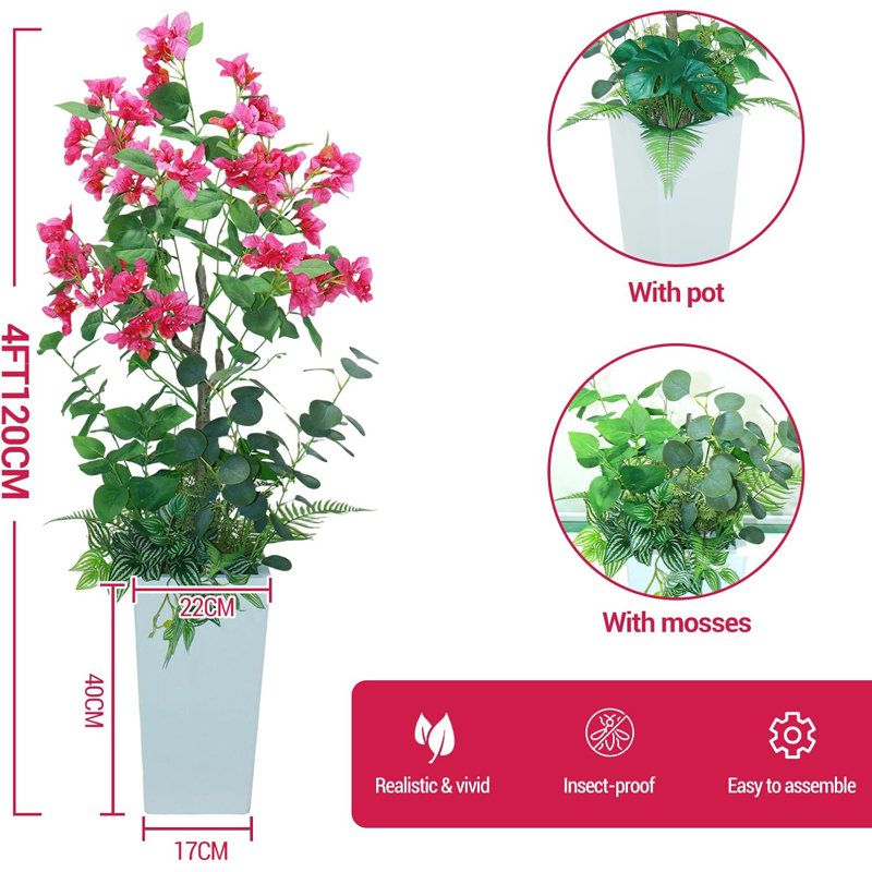 120cm Plant