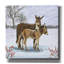  «Donkeys In The Snow» par Elle Media Group, art mural sur toile, 12 po x 12 po