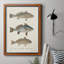 " Species Of Antique Fish III "-961370888-968837327