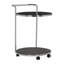 Santibanez Metal Bar Cart-1734607832