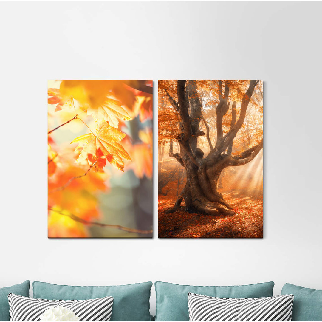 2-tlg. Leinwandbilder-Set - Fotografie „Autumn Leaves Big Tree Sunbeams Warm Light Calming Positive Energy”