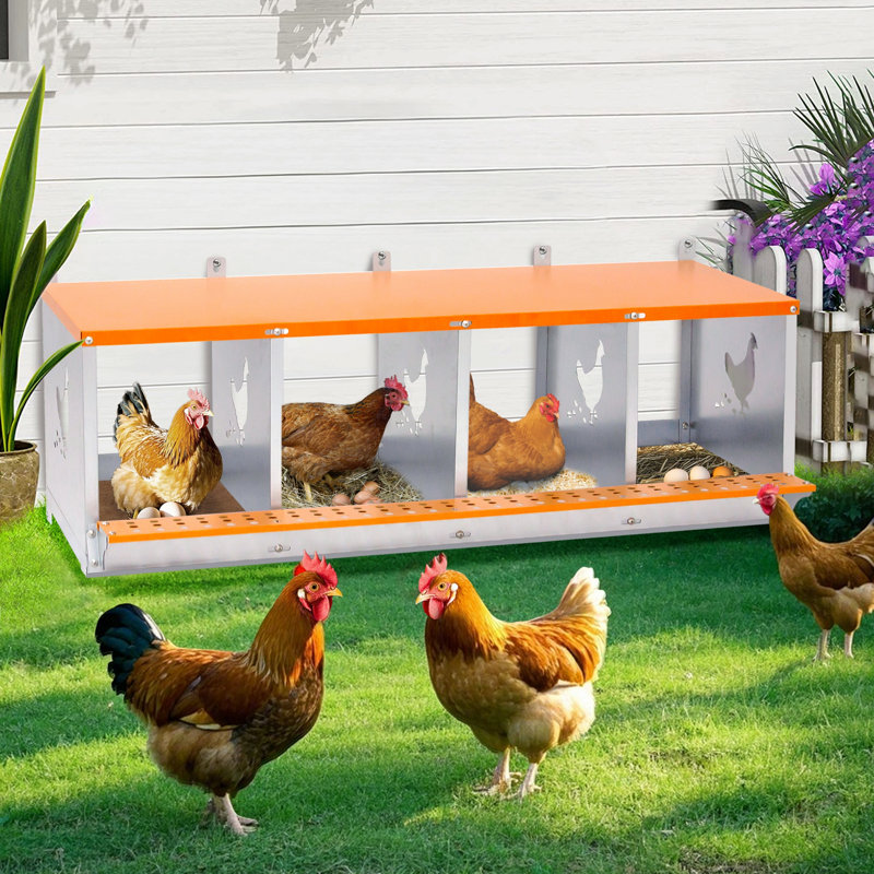 Boîte de nidification murale en métal à 4 baies pour poules / canards, collection et assemblage facile des œufs, équipement de cage en acier galvanisé ventilé orange