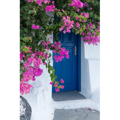Grèce, Santorin, une porte bleue pittoresque est entourée de bougainvilliers roses dans une affiche de Firostefani par Brenda Tharp (18 x 24) # EU12BTH0019