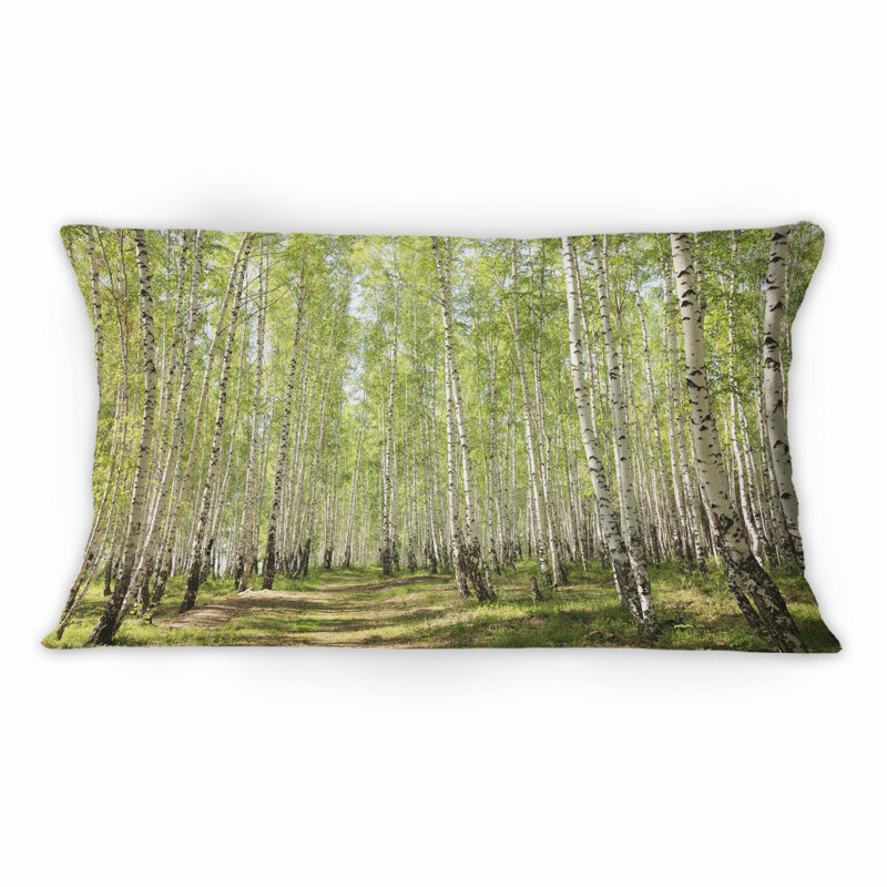 Coussin décoratif imprimé à la lumière du soleil à travers le bouleau vert
