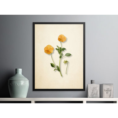 Monahan Print