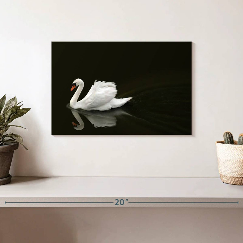 Brampt White Swan Elegance, 8" H x 12" W